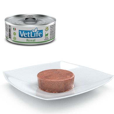 Farmina (Фармина) VetLife Renal – Консервированный корм-диета с курицей для котов с заболеванием почек, 85 г (10 шт)