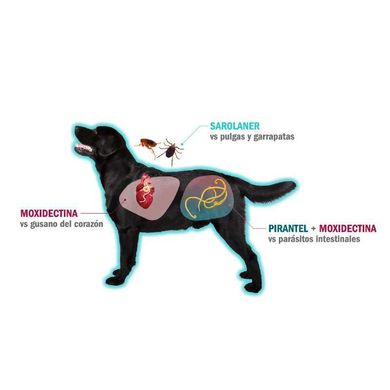 Simparica TRIO (Сімпарика ТРІО) - Протипаразитарні жувальні таблетки від бліх, гельмінтів та кліщів для собак (1 таблетка) 1,25-2,5 кг