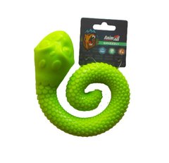 AnimAll (ЕнимАлл) GrizZzly - Игрушка змейка для собак 18,4х15х5,6 см Зеленый