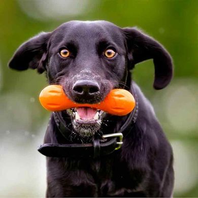 West Paw (Вест Пау) Hurley Dog Bone - Игрушка косточка для собак 11 см Ярко-зелёный