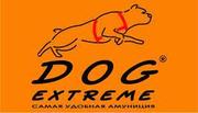 Dog Extreme by COLLAR