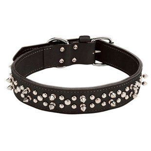 Coastal (Костал) Spiked Leather - Нашийник подвійний шкіряний з шипами для собак 4,25х65 см Чорний