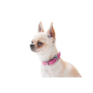 Collar (Коллар) WAUDOG Classic - Нашийник для собак шкіряний, XXS Рожевий