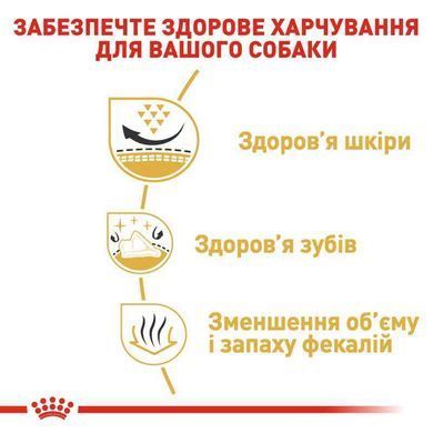 Royal Canin (Роял Канин) Shih Tzu Adult - Сухой корм с мясом птицы для взрослых собак породы Ши-Тцу, 1,5 кг