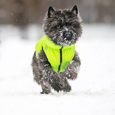 WAUDOG (Ваудог) AiryVest - Двусторонняя курточка для собак (салатовая/черная) L55 (52-55 см)