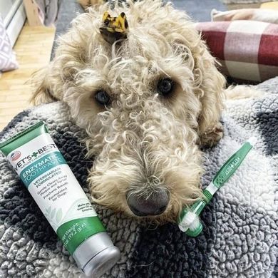 VET`S BEST (Ветс Бест) Dental Care Kit - Энзимная зубна паста 103 мл + зубна щітка