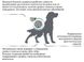 Royal Canin (Роял Канин) Diabetic - Ветеринарная диета для собак при сахарном диабете 12 кг