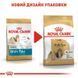 Royal Canin (Роял Канин) Shih Tzu Adult - Сухой корм с мясом птицы для взрослых собак породы Ши-Тцу, 1,5 кг