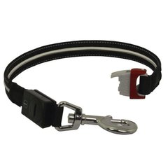 Flexi (Флекси) Vario Led Flash Belt - Светомигающий ремень для поводков-рулеток Flexi S/M
