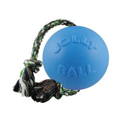 Jolly Pets (Джоллі Петс) ROMP-N-ROLL - Iграшка м'яч Ромп-н-Ролл Болл для собак 12х30х12 см Фіолетовий
