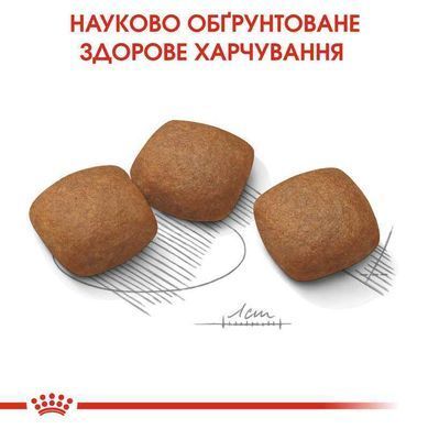 Royal Canin (Роял Канін) Maxi Joint Care - Сухий корм для дорослих собак великих порід з підвищеною чутливістю суглобів, 10 кг
