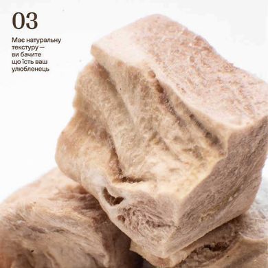 Cosset (Коссет) - Беззерновые сублимированные лакомства куриные желудки для собак, 30 г