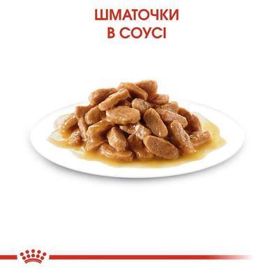 Royal Canin (Роял Канин) Medium Puppy - Влажный корм для щенков средних пород (кусочки в соусе), 140 г