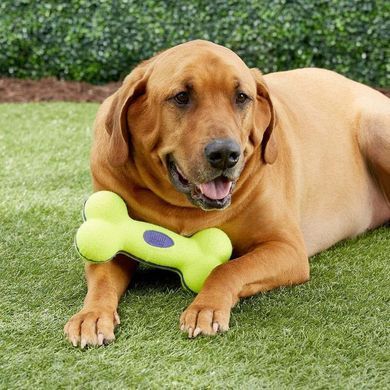 Kong (Конг) AirDog Squeaker Bone - Игрушка-косточка с пищалкой для собак, 11,4х5,7х3,2 см