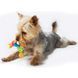 Petstages (Петстейджес) Mini Toss Ring - Игрушка для собак "Кольцо-погремушка мини", &Oslash;5 см