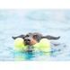 Kong (Конг) AirDog Squeaker Bone - Игрушка-косточка с пищалкой для собак, 11,4х5,7х3,2 см