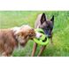 Kiwi Walker (Киви Вокер) Frisbee - Игрушка кольцо-фрисби из термопластичной резины для собак MINI Розовый