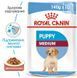 Royal Canin (Роял Канин) Medium Puppy - Влажный корм для щенков средних пород (кусочки в соусе), 140 г
