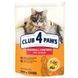 Club 4 Paws (Клуб 4 Лапы) Premium Hairball Control Adult Cat Chicken - Сухой корм с курицей для кошек, способствующий выведению шерсти из Жкт, 300 г