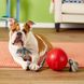 Jolly Pets (Джолли Пэтс) ROMP-N-ROLL - Игрушка мяч Ромп-н-Ролл Болл для собак 12х30х12 см Фиолетовый