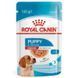 Royal Canin (Роял Канин) Medium Puppy - Влажный корм для щенков средних пород (кусочки в соусе), 140 г