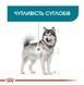 Royal Canin (Роял Канін) Maxi Joint Care - Сухий корм для дорослих собак великих порід з підвищеною чутливістю суглобів, 10 кг