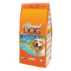 Gemon (Джемон) Special Dog Classic Canine - Сухий корм для дорослих собак з нормальною фізичною активністю 20 кг
