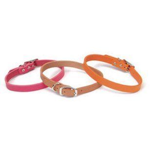Coastal (Костал) Circle-T Fashion - Нашийник шкіряний для собак 1,6х40 см