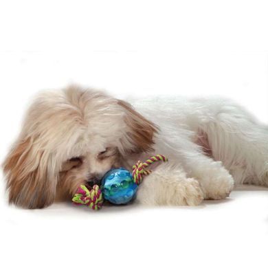 Petstages (Петстейджес) Mini Orka Ball with rope - Іграшка для собак "Орка міні м'ячик з канатиками" 6 см