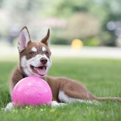Jolly Pets (Джолли Пэтс) Bounce-N-Play - Игрушка мяч Баунс-н-Плэй для собак, Розовый, 11х11х11 см