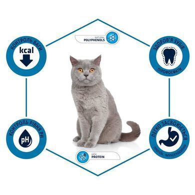 Advance (Едванс) (Едванс) Cat Sterilized Adult Turkey - Сухий корм з індичкою для стерилізованих кішок, 400 г