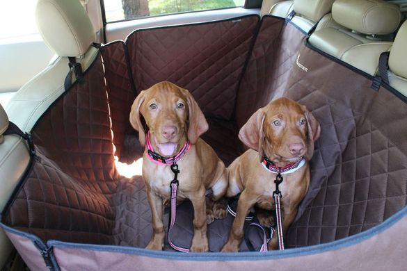 Haustier Elegant Chocolate Автогамак для Собак на заднє сидіння автомобіля