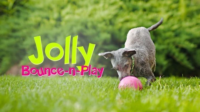 Jolly Pets (Джолли Пэтс) Bounce-N-Play - Игрушка мяч Баунс-н-Плэй для собак, Розовый, 11х11х11 см