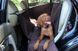 Haustier Elegant Chocolate Автогамак для Собак на заднє сидіння автомобіля