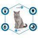Advance (Едванс) (Едванс) Cat Sterilized Adult Turkey - Сухий корм з індичкою для стерилізованих кішок, 400 г