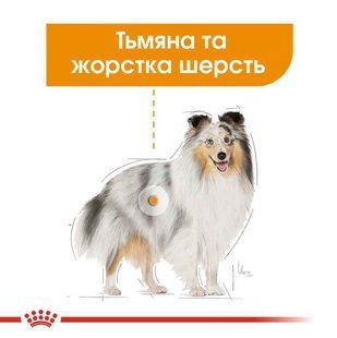 Royal Canin (Роял Канин) Coat Care Beauty Loaf - Консервированный корм для собак разных размеров с тусклой и жесткой шерстью (паштет) 85 г