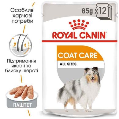 Royal Canin (Роял Канин) Coat Care Beauty Loaf - Консервированный корм для собак разных размеров с тусклой и жесткой шерстью (паштет) 85 г