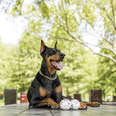 M-Pets (М-Петс) Play Dog Bloom Ball Mixed color &ndash; М'яч Блум різнокольоровий для собак 7 см