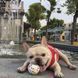 M-Pets (М-Петс) Play Dog Bloom Ball Mixed color &ndash; М'яч Блум різнокольоровий для собак 7 см