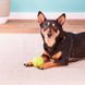 West Paw (Вест Пау) Jive Dog Ball - Игрушка супер-мяч для собак, Ярко-зелёный, 6 см