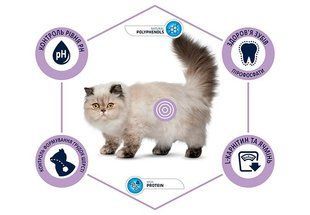 Advance (Едванс) (Едванс) Cat Sterilized Hairball Turkey - Сухий корм з індичкою для стерилізованих котів і для профілактики утворення грудок вовни в ШКТ, 10 кг