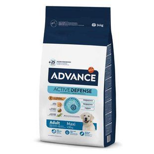 Advance (Едванс) Dog Adult Maxi Chicken&Rice - Сухий корм з м'ясом курки для дорослих собак великих порід, 14 кг