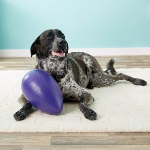 Jolly Pets (Джоллі Петс) JOLLY EGG - Iграшка тверде яйце Джолi для собак, Червоний, 19х30х19 см