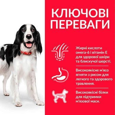 Hill's (Хиллс) Science Plan Adult Medium with Lamb&Rice - Сухой корм с ягненком и рисом для взрослых собак средних пород, 14 кг