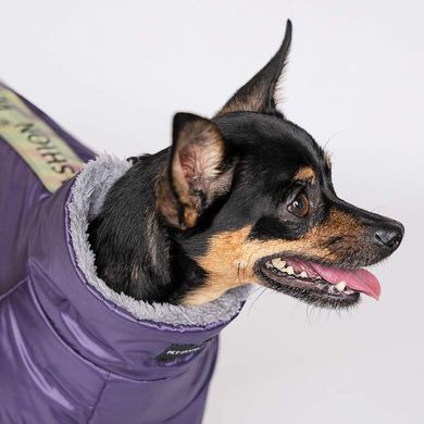 Pet Fashion (Пет Фешн) The Mood Glory - Комбинезон для собак (фиолетовый) XS (23-26 см)