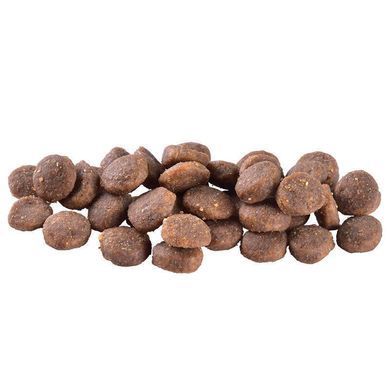 Brit Care (Брит Кеа) Dog Grain-free Puppy Salmon - Сухой беззерновой корм с лососем для щенков, 1 кг