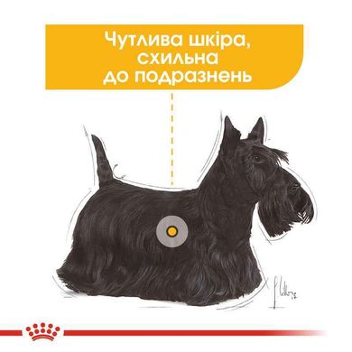 Royal Canin (Роял Канин) Dermacomfort Loaf - Консервированный корм для собак разных размеров с чувствительной кожей, склонной к раздражениям (паштет) 85 г