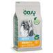 Оasy (Оази) Lifestage Kitten Chicken - Сухой корм с курицей для котят, 7,5 кг