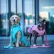 Max&Molly (Макс енд Моллі) Raincoat Matrix 2.0 - Дощовик для собак Black, чорний, XS