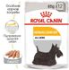 Royal Canin (Роял Канин) Dermacomfort Loaf - Консервированный корм для собак разных размеров с чувствительной кожей, склонной к раздражениям (паштет) 85 г